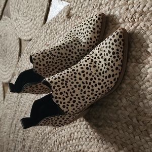 SONNI Dolce Vita Ankle boots